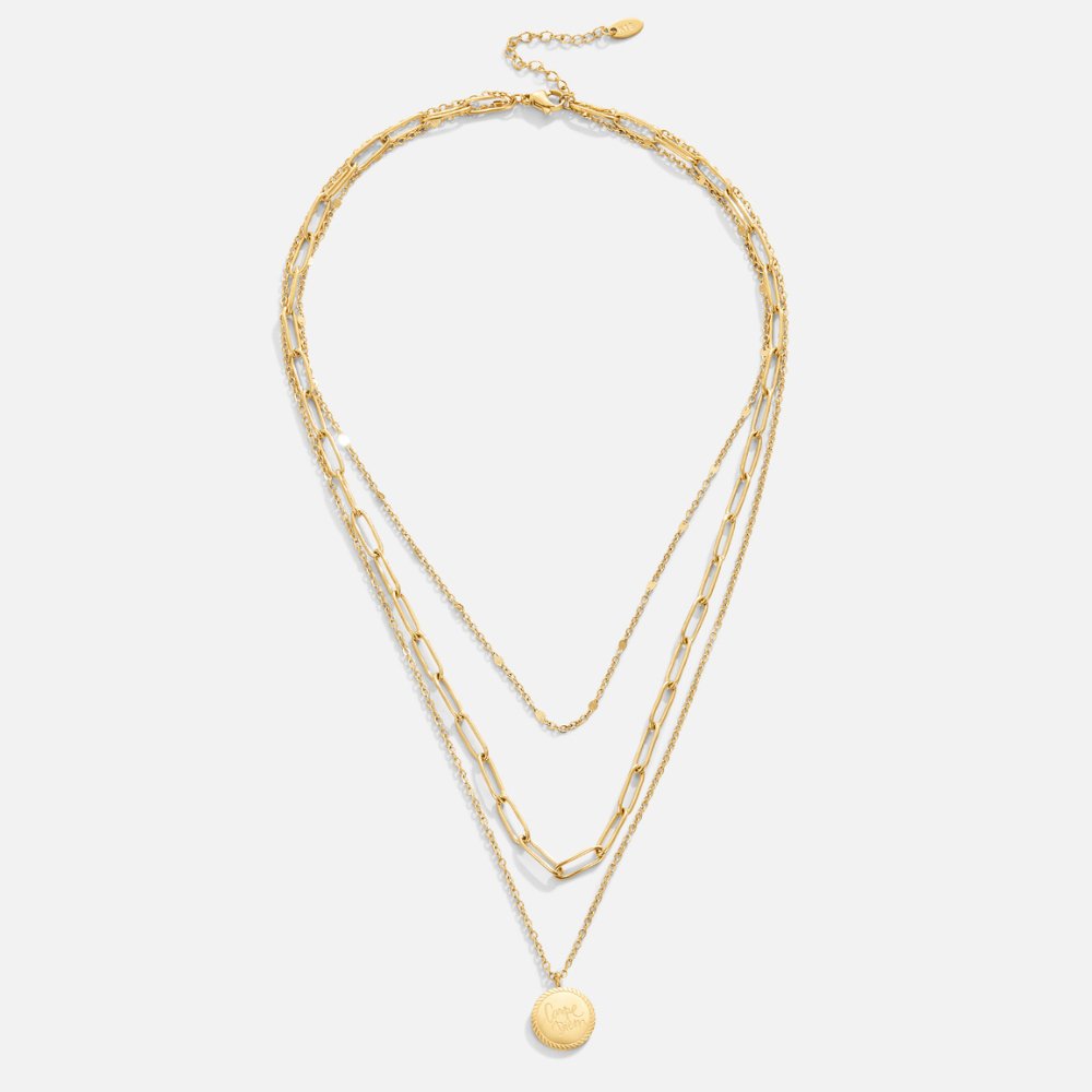 Janie Coin Necklace