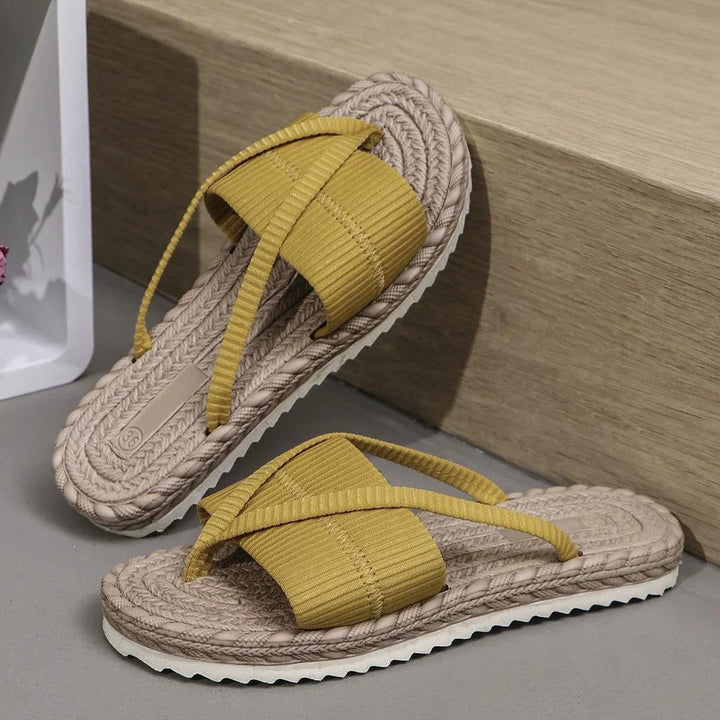 NOVAE | Shoreline Slides